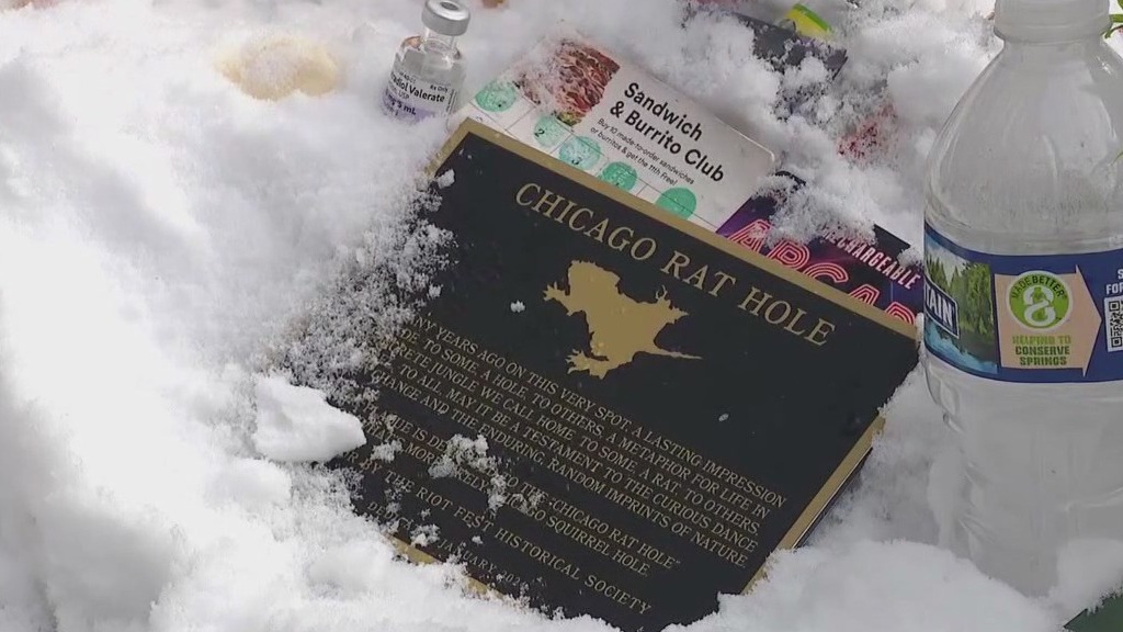 Study suggests Chicago's 'rat hole' wasn't a rat after all