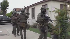 ICE activity sparks controversy hurts economies in LA, Chicago