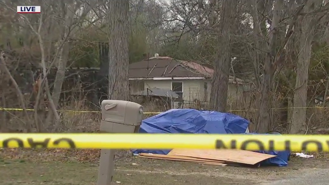 Fire destroys Long Island cat shelter