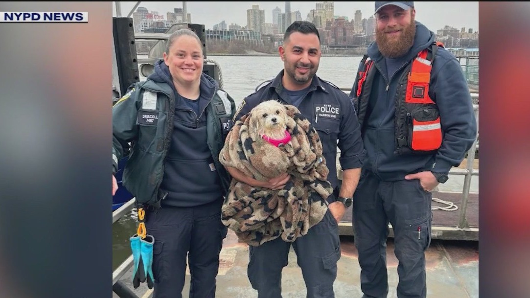 Dog rescued from East River by NYPD | FOX 5 New York