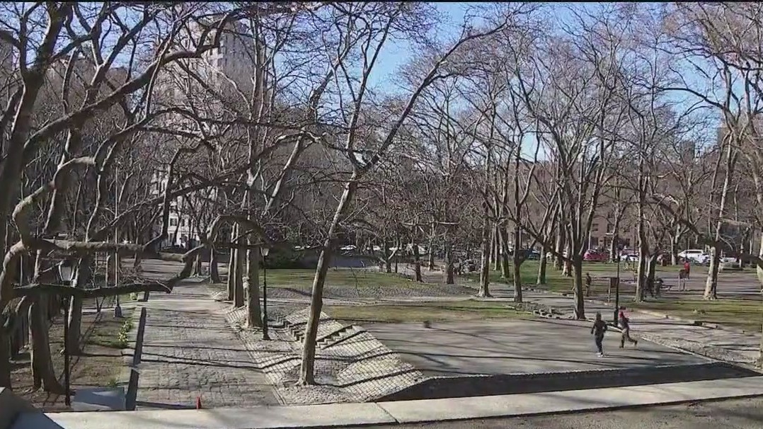 Lawsuit to save Fort Greene Park trees