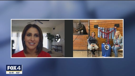 Horse Of The Year: Herm?s