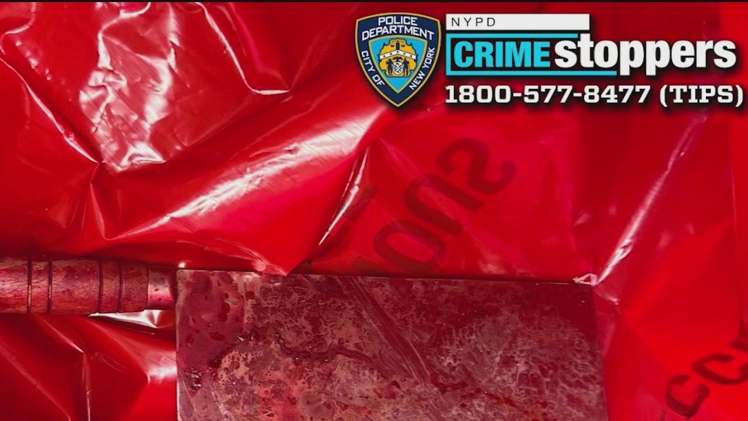 NYC stabbing spree leaves 4 children injured