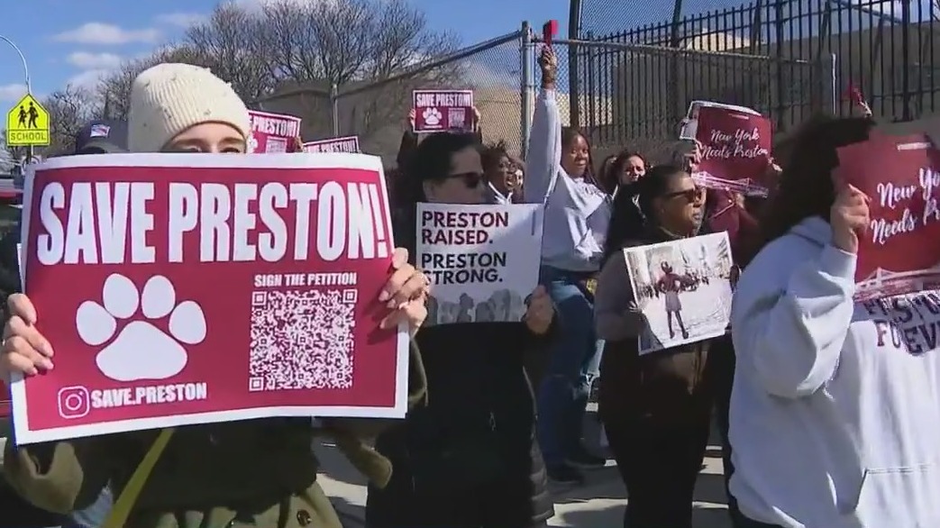 Bronx Catholic school closure hearing underway