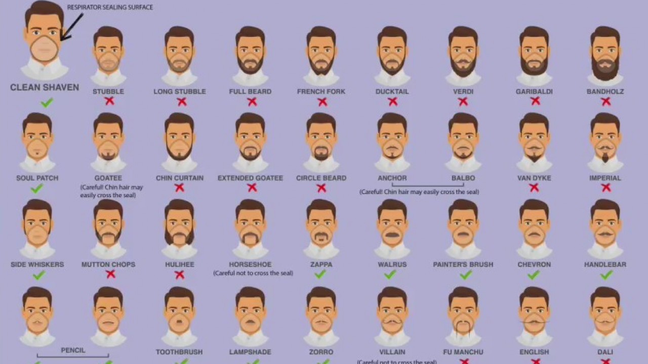 Safe facial hair guide
