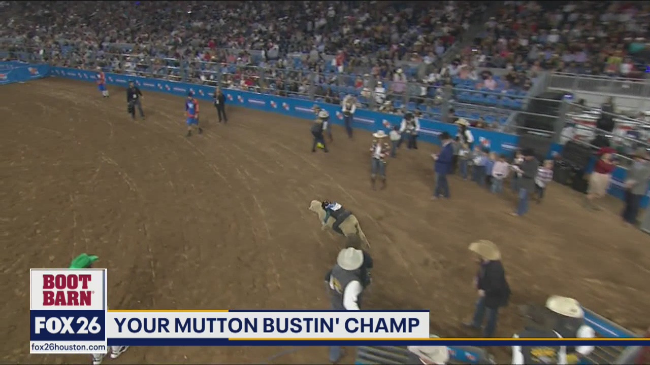 Mutton Bustin' Champ!
