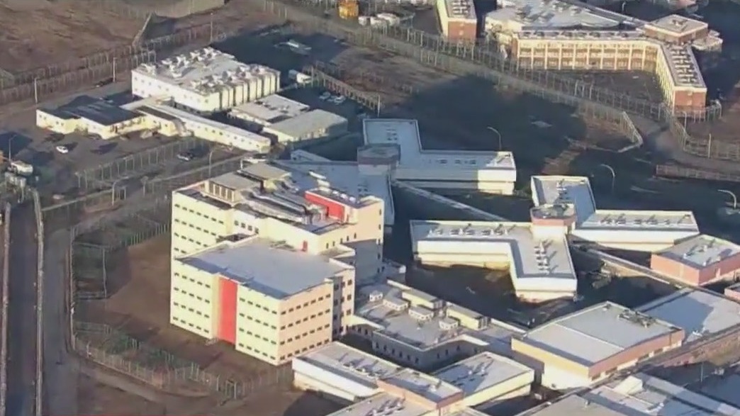 City Council sues Mayor Adams over ICE on Rikers