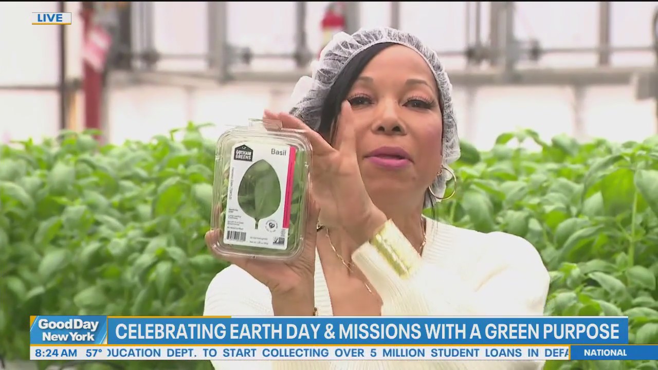 Garden growing on top of Brooklyn Whole Foods