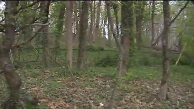 Coyote howls keeping Bronx residents up at night