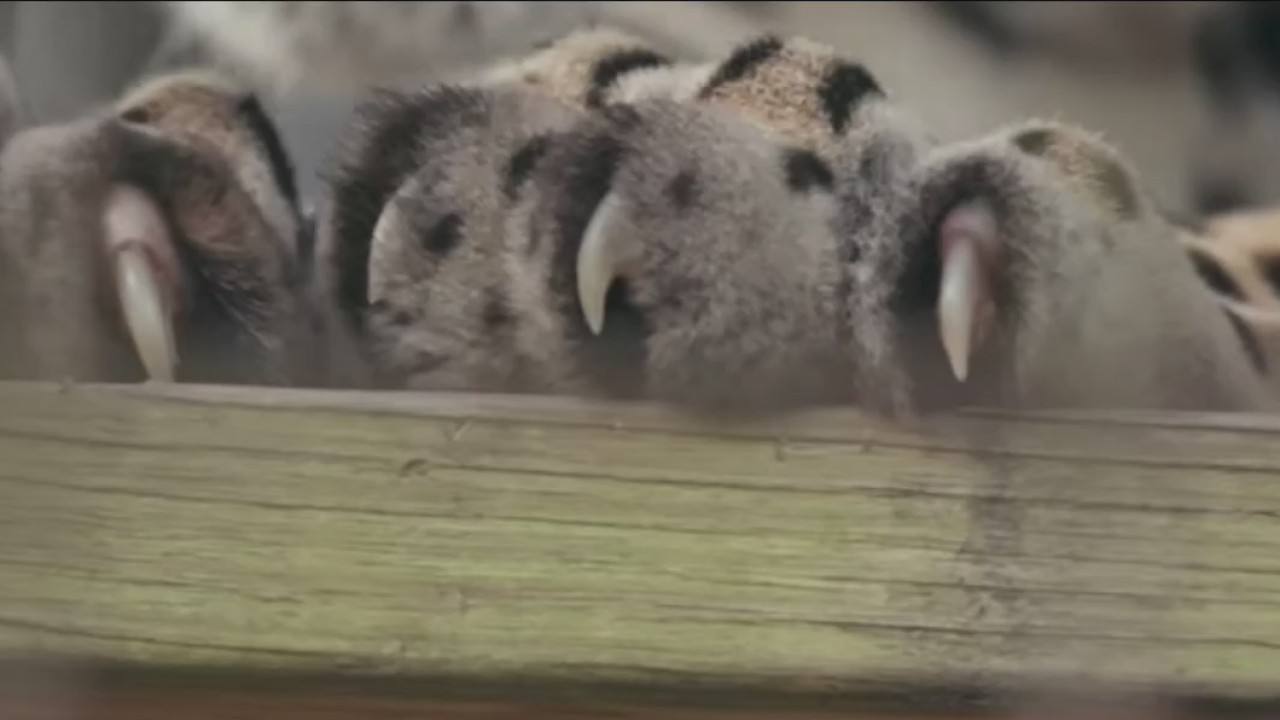 Must-watch movies and shows to stream while stuck at home