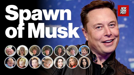 Spawn of Musk: A breakdown of Elon?s 14 children