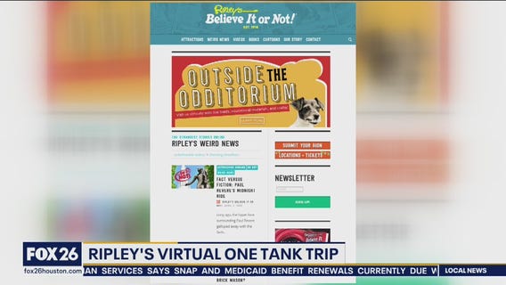 Ripley's virtual tour