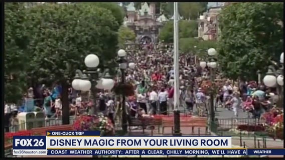 One click trip Disneyland Magic