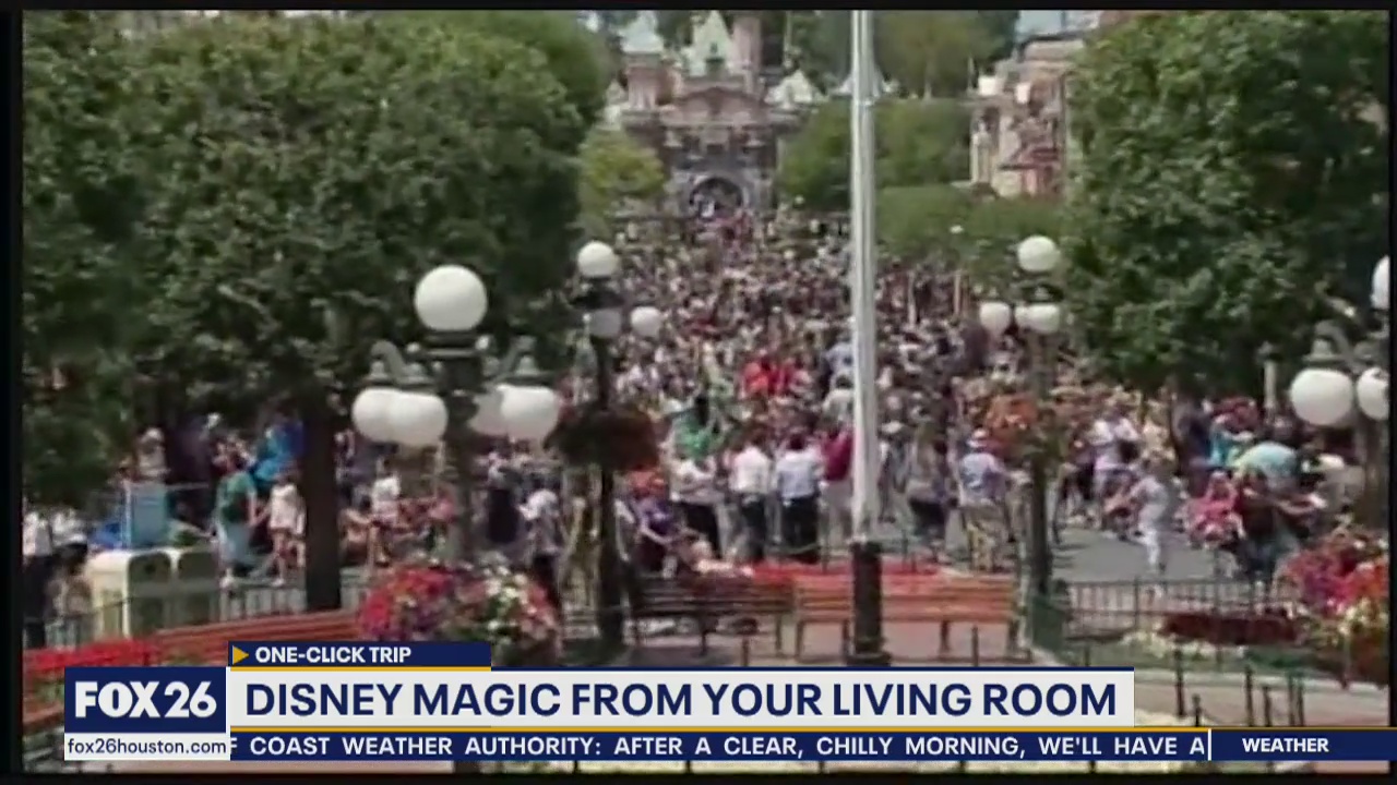 One click trip Disneyland Magic