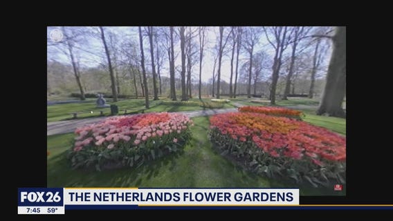 One Click Trip to the Netherlands