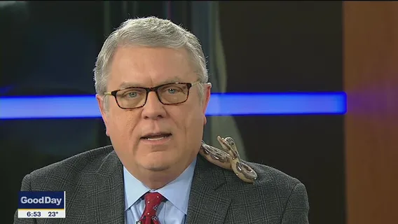 Tell It to Tim: Capitol Riot, Evan's fountain of youth and missing snakes