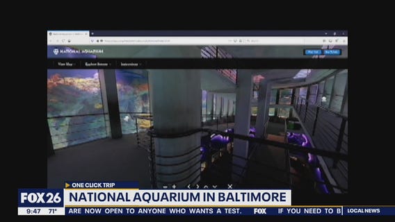 One Click Trip- National Aquarium in Baltimore
