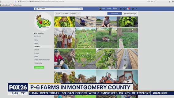 Places to go to ease cabin fever and still practice social distancing - What's going down in H-town