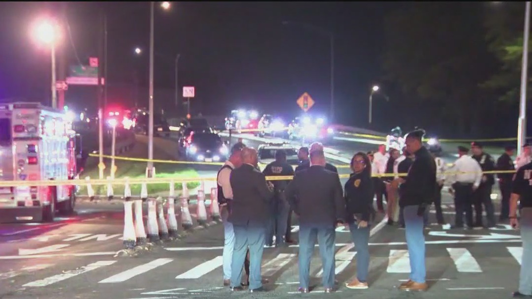 Driver fatally shot after nearly hitting officer