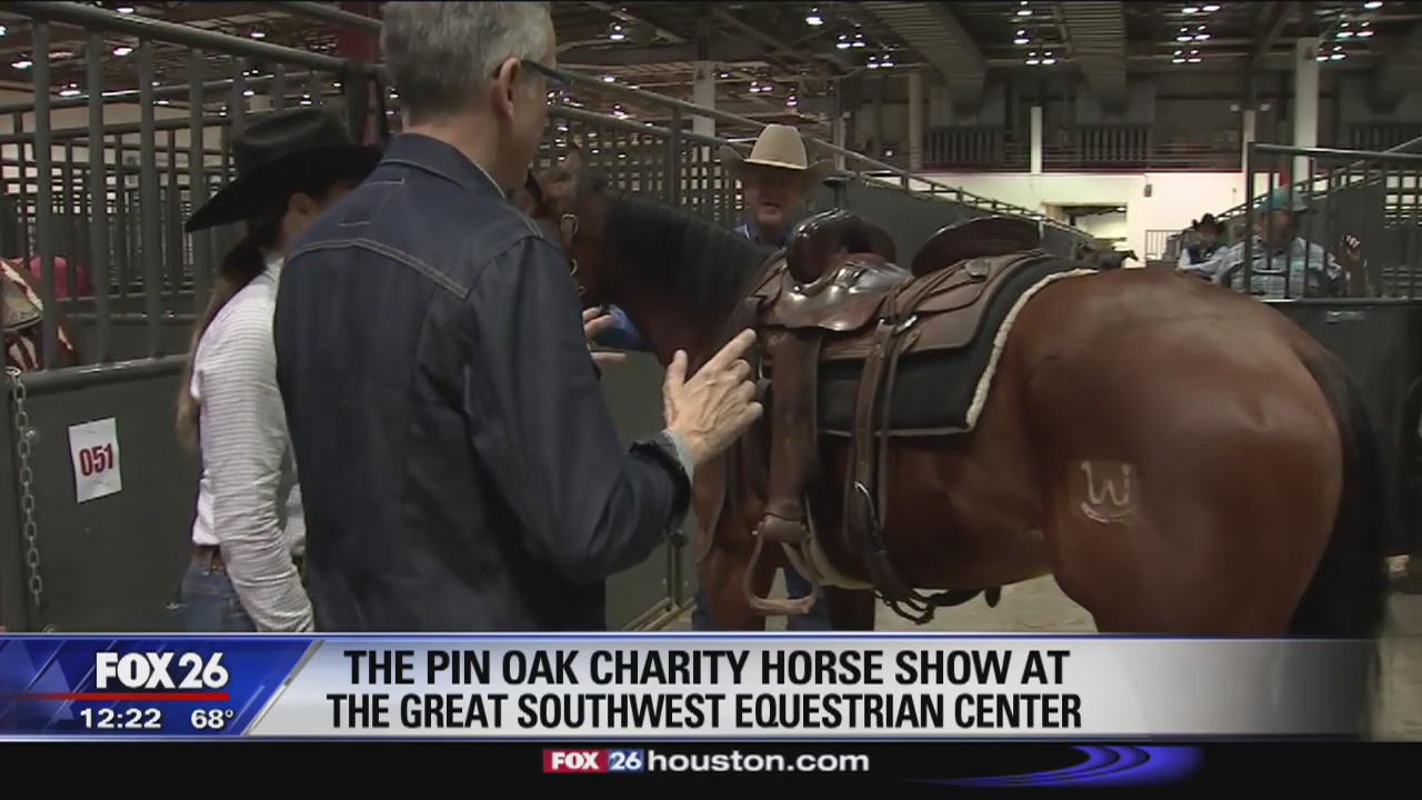 Preparing cutting horses for Pin Oak Charity Horse Show