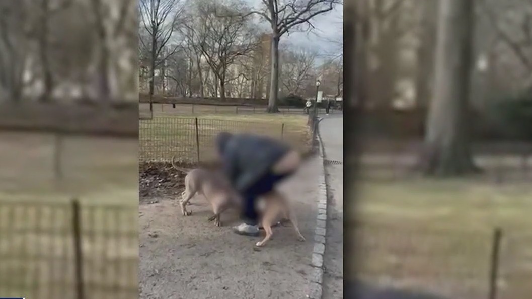 UWS residents demand action after pit bull attacks | FOX 5 New York