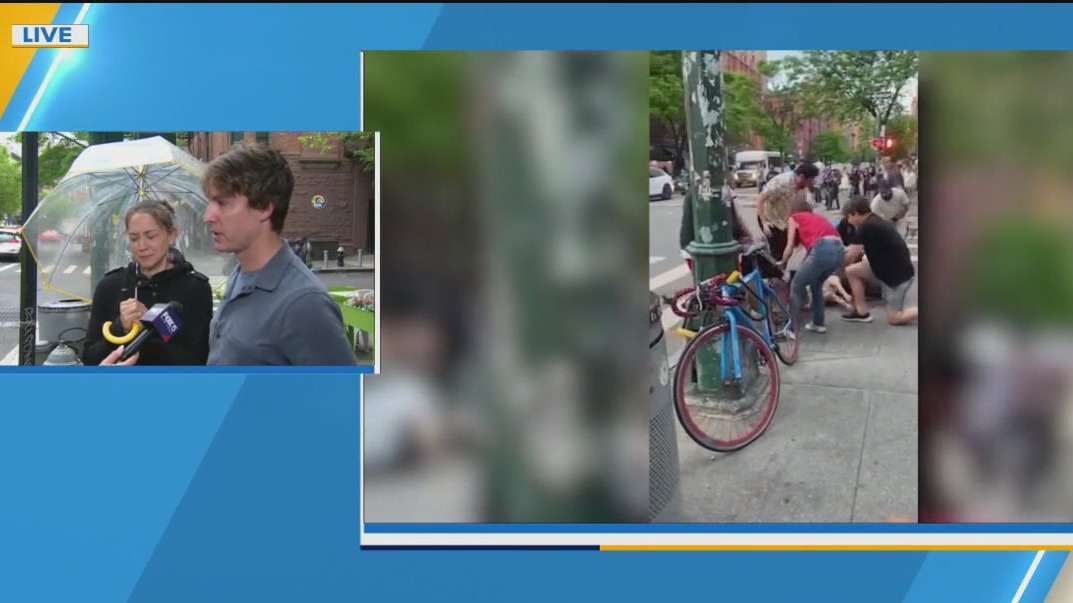 Pit bulls maul service dog in unprovoked attack: owners