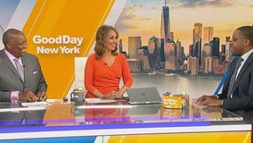 The race for NYC mayor: Meet Zellnor Myrie