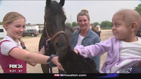 Little girl battling cancer gets to meet more than 75 horses