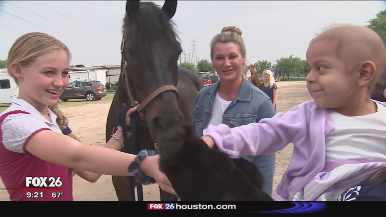 Little girl battling cancer gets to meet more than 75 horses