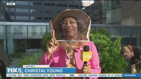 NYU bees promoting biodiversity?