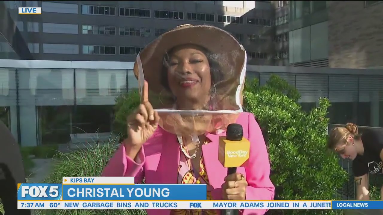 NYU bees promoting biodiversity?