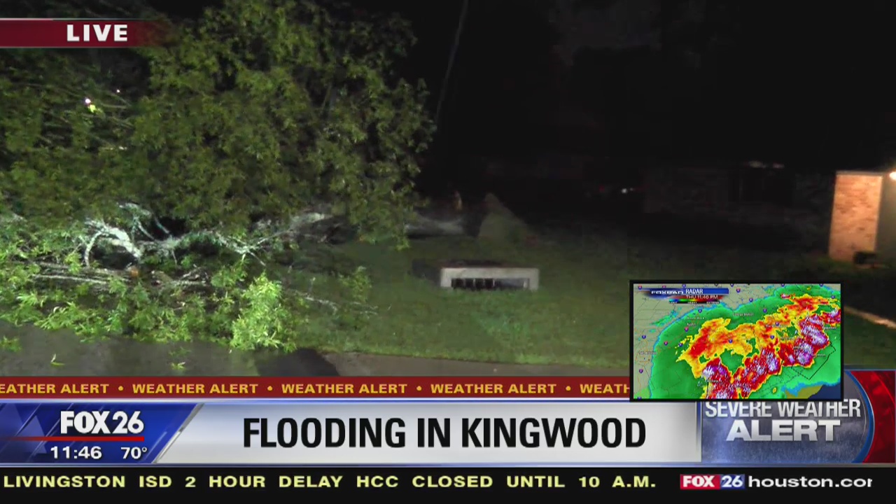 Massive tree falls over in Kingwood