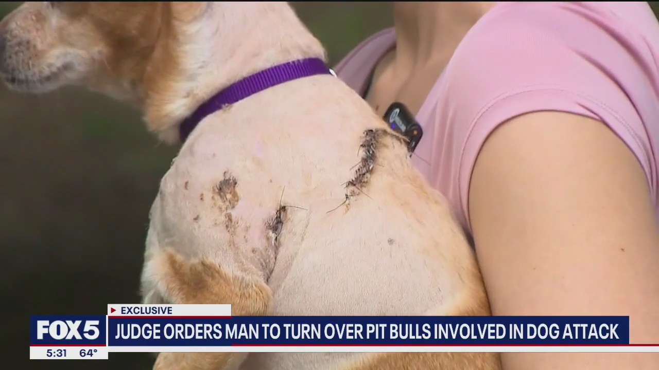Judge orders owner to turn over pit bulls after UWS attack