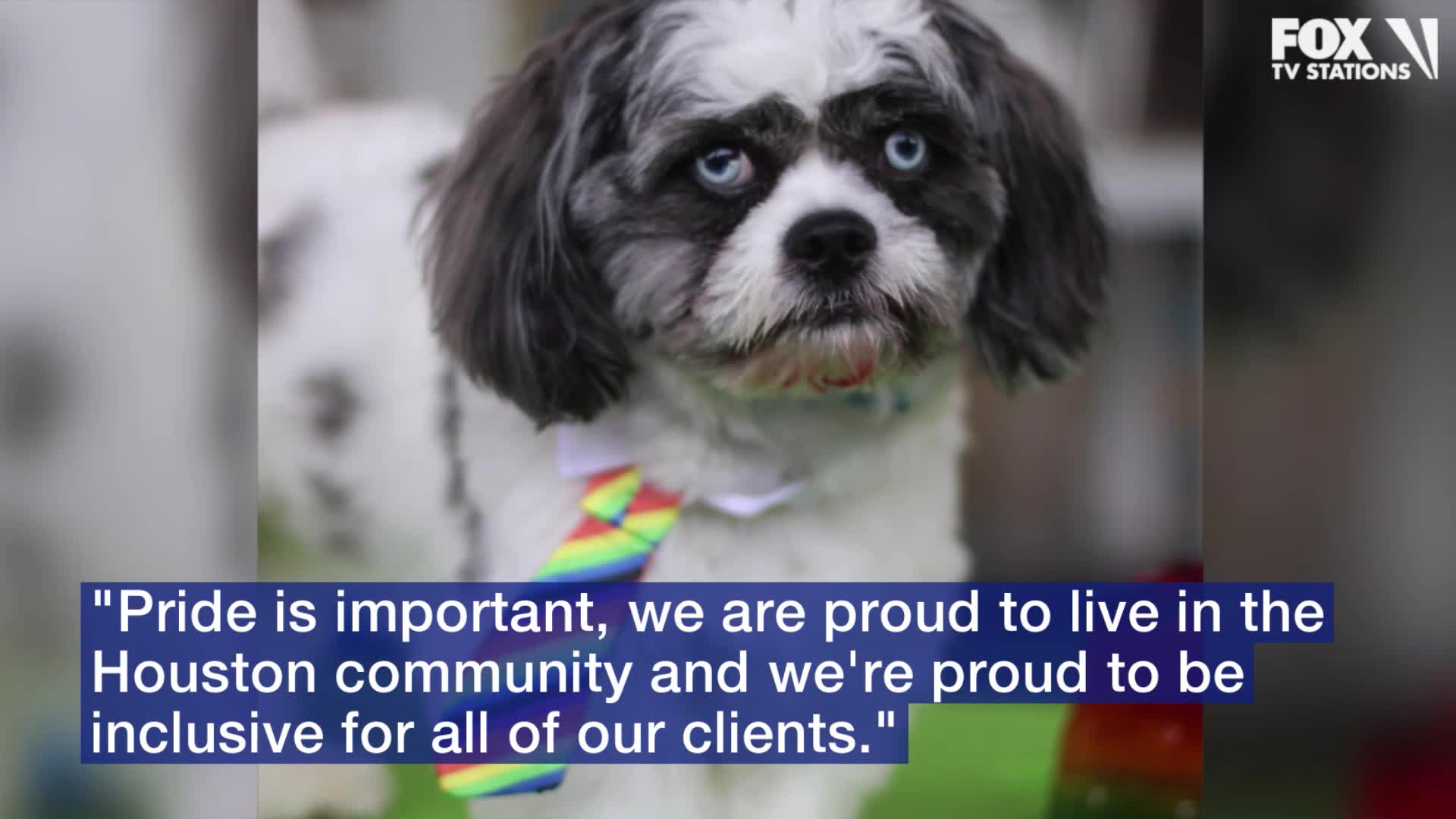 Local pups celebrate Pride month with games and treats