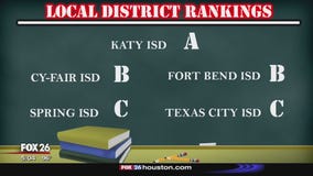 TEA grading system rankings and criteria