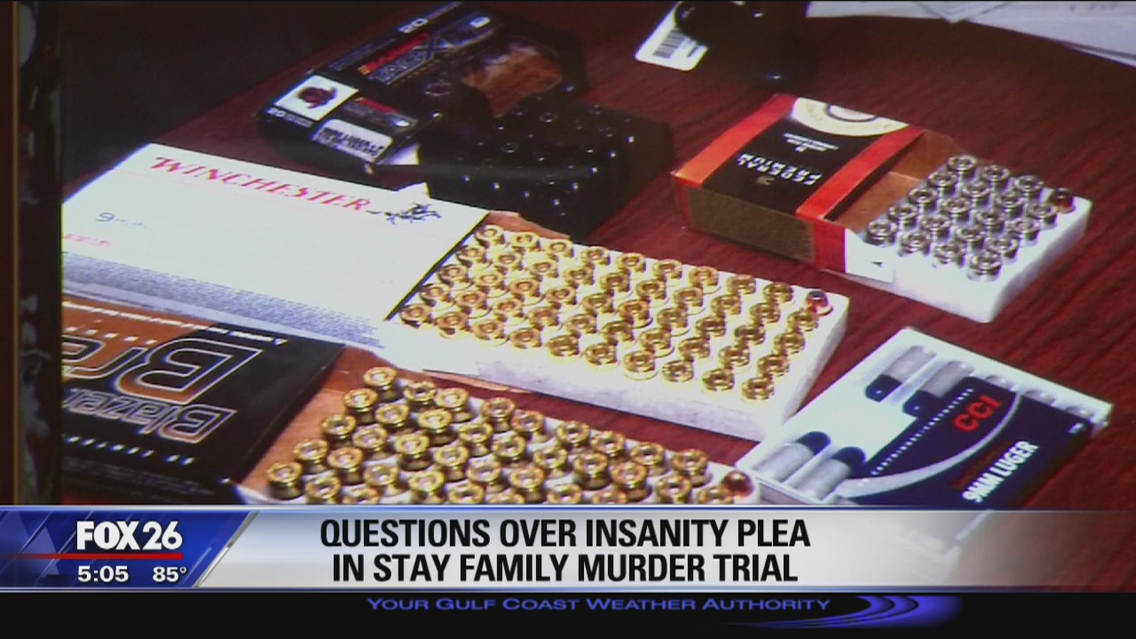 Questions over insanity plea in Stay Family murder trial