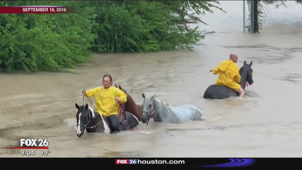 Owner of Cypress Trails Ranch speaks out about flooding
