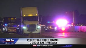 Pedestrian killed trying to cross East Freeway