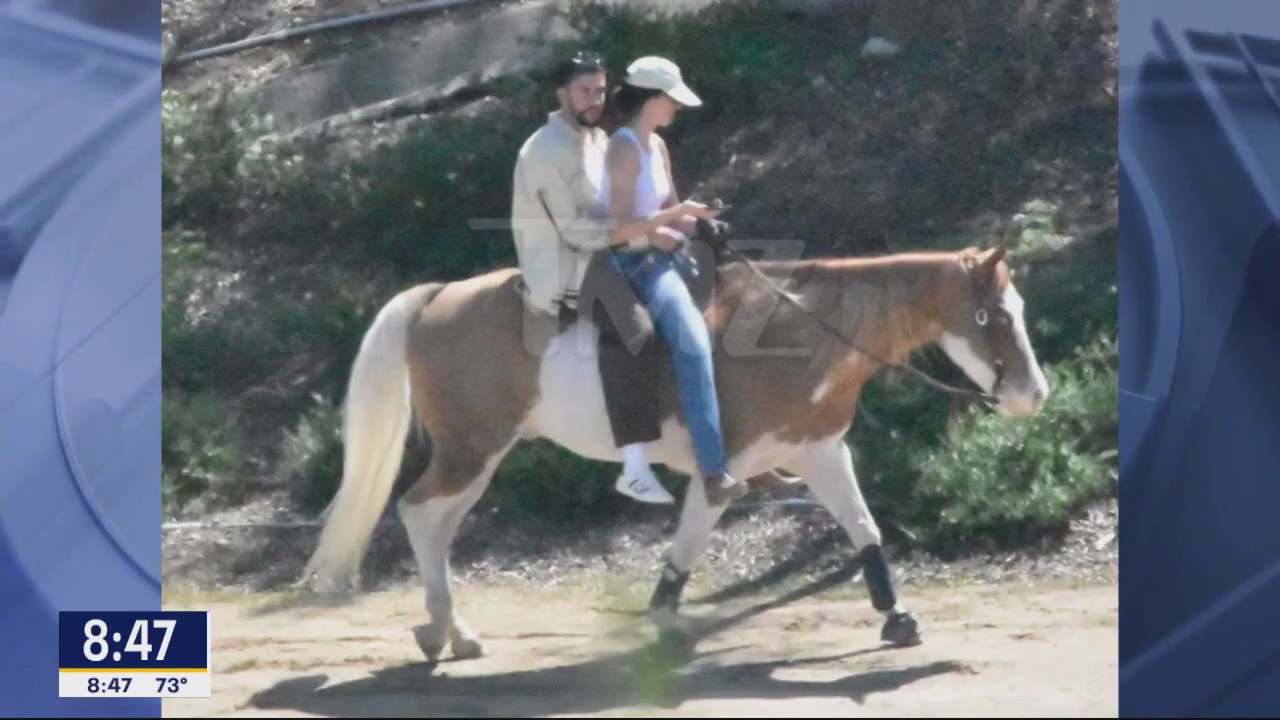 TMZ: Are Kendall Jenner and Bad Bunny dating?