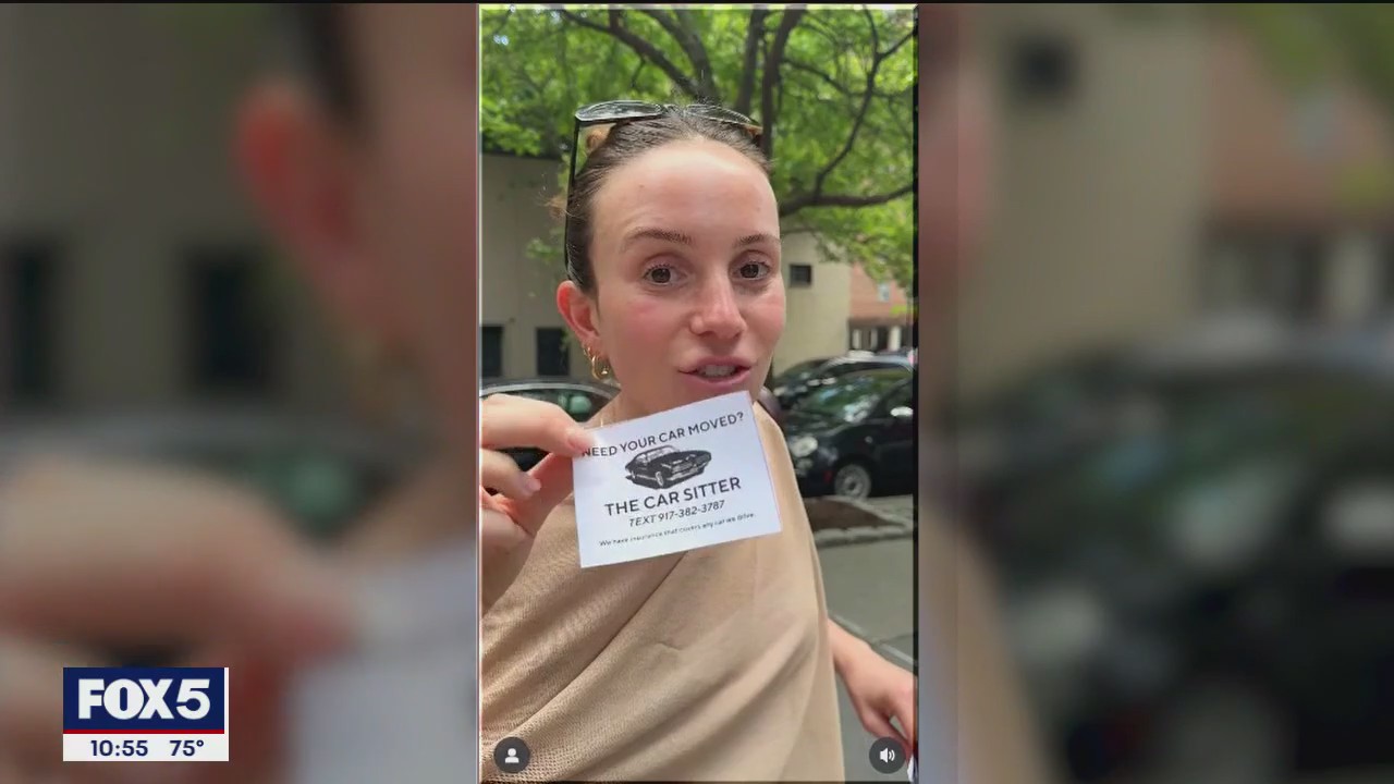 Car sitting becomes lucrative business: Here's how it works