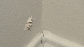 Police looking for gunmen after shots fired into Channelview homes