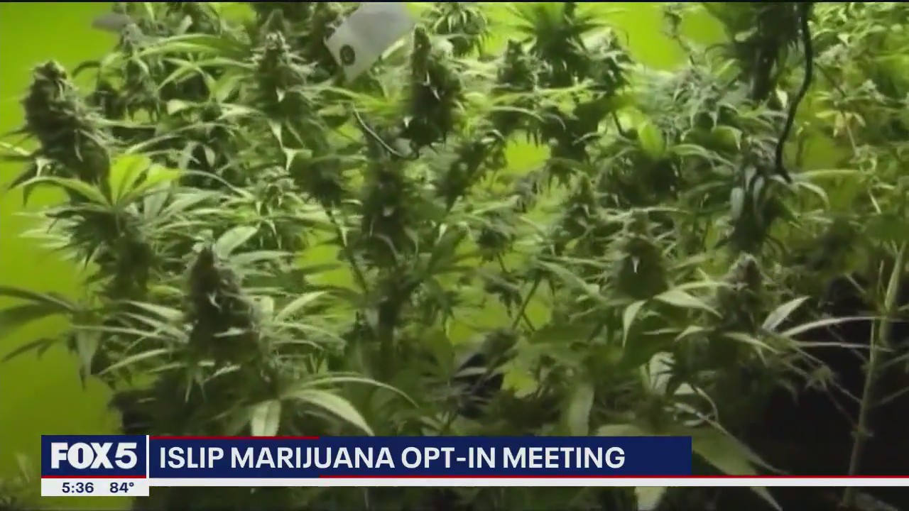 Long Island officials postpone vote on opening recreational marijuana stores