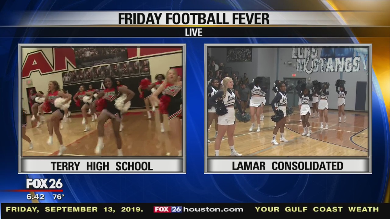 Mustangs and Rangers in the Battle of the Berg