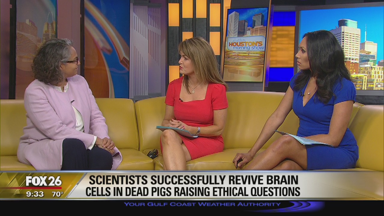Scientists successfully revive brain cells in dead pigs raising ethical questions
