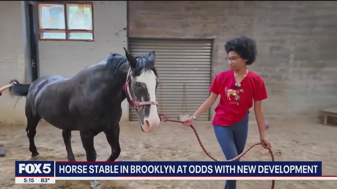 Brooklyn horse stable at odds with new development