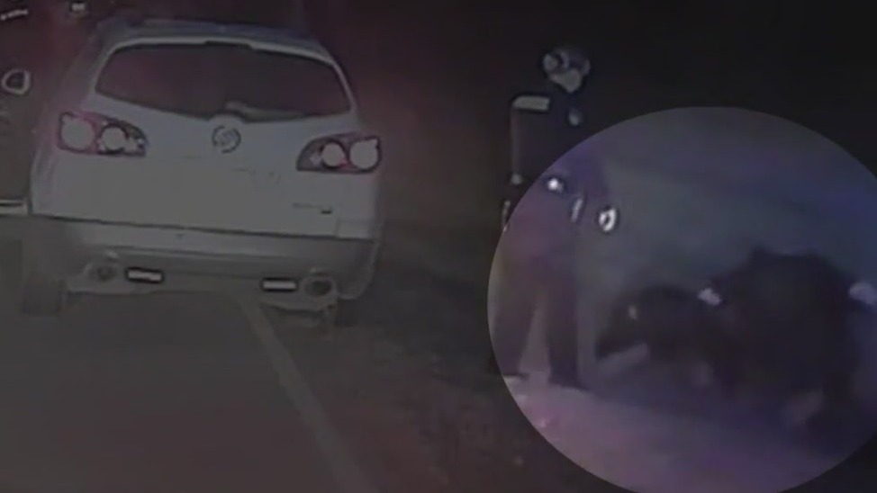 Former Sanger 'Officer of the Year' charged over arrest