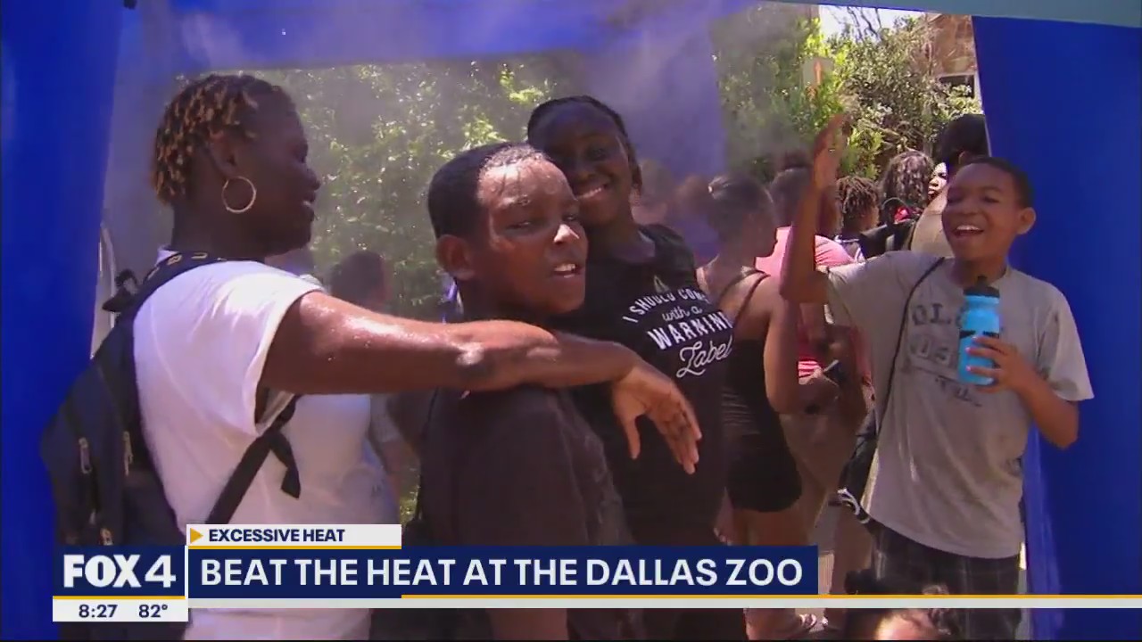 Crowds head to Dallas Zoo for 'Dollar Days'