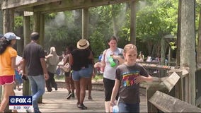 Dallas Zoo help crowds beat the heat during Dollar Day