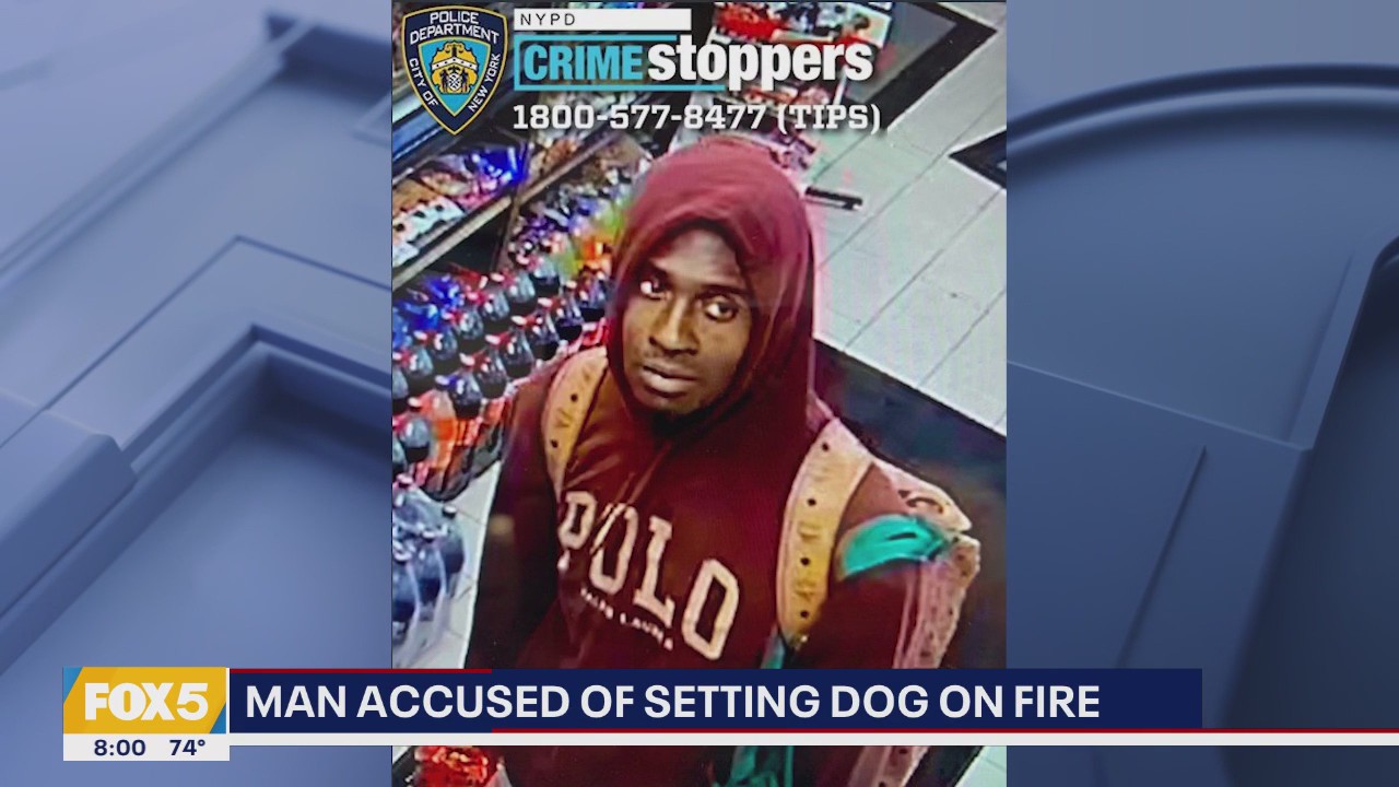 Man accused of setting dog on fire, Summer Streets kicks off | Good Day Weekend