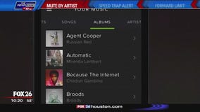 The Future Is Now - Spotify mute by artist feature